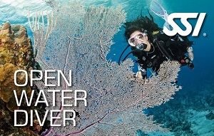 Open water Duikbrevet Curacao