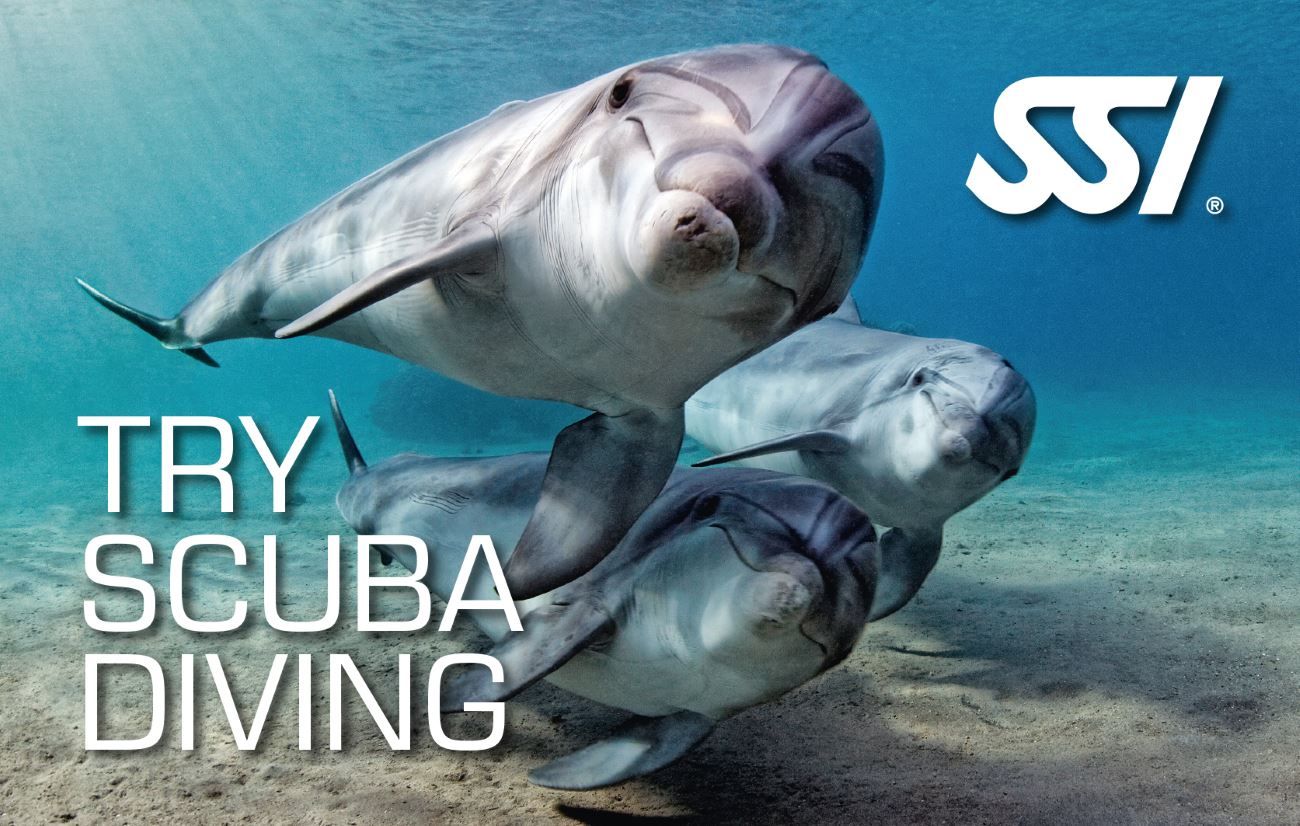 SSI Try Scuba Diving