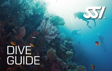 SSI Dive Guide_Duikcentrum van de Ven_ Curacao