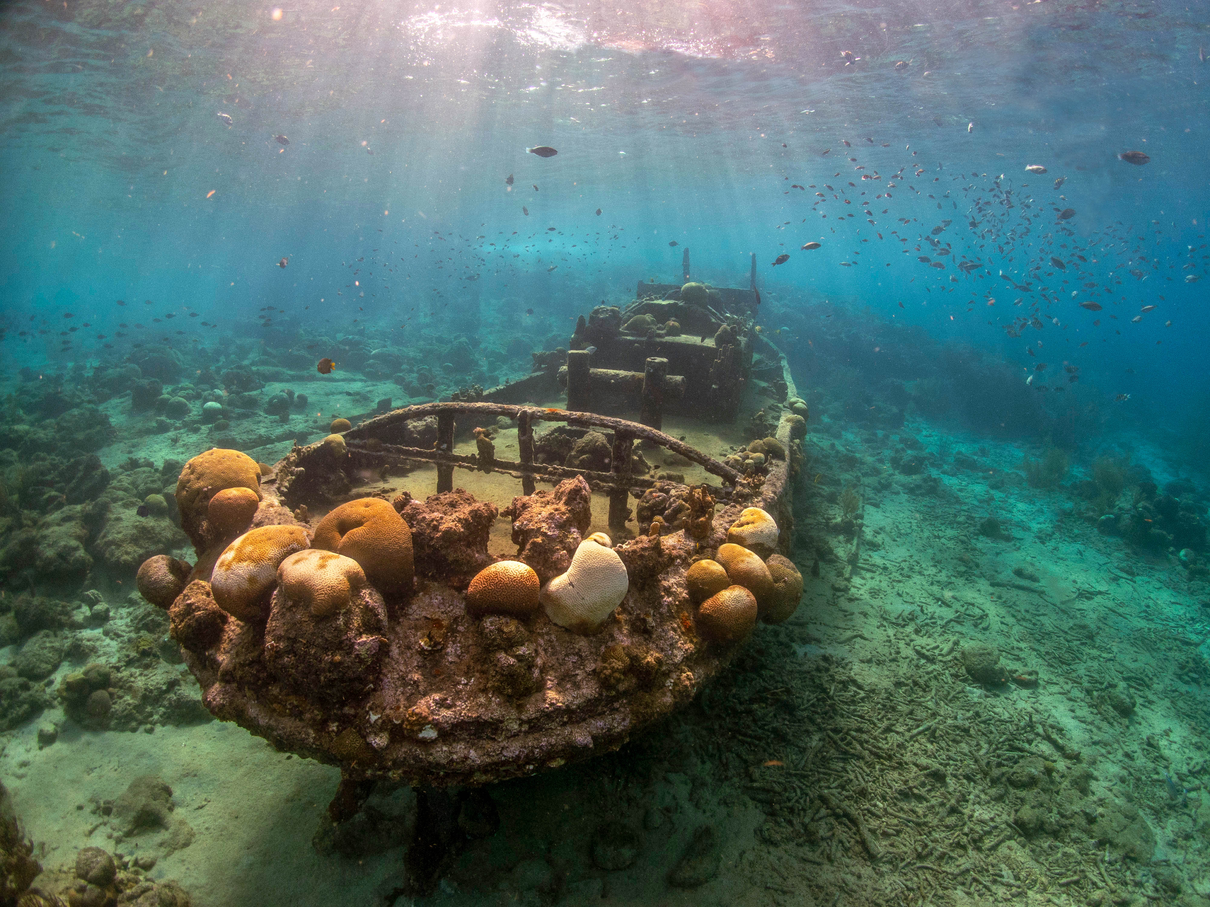 Duiken Tugboat - Curacao - Duikcentrum van de Ven - © Peter Meijer